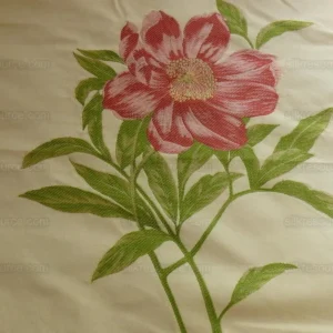 P1350586.jpg Peony~lee Jofa "peonia Weave" Pink Red On Butter Fil Coupe Bty M