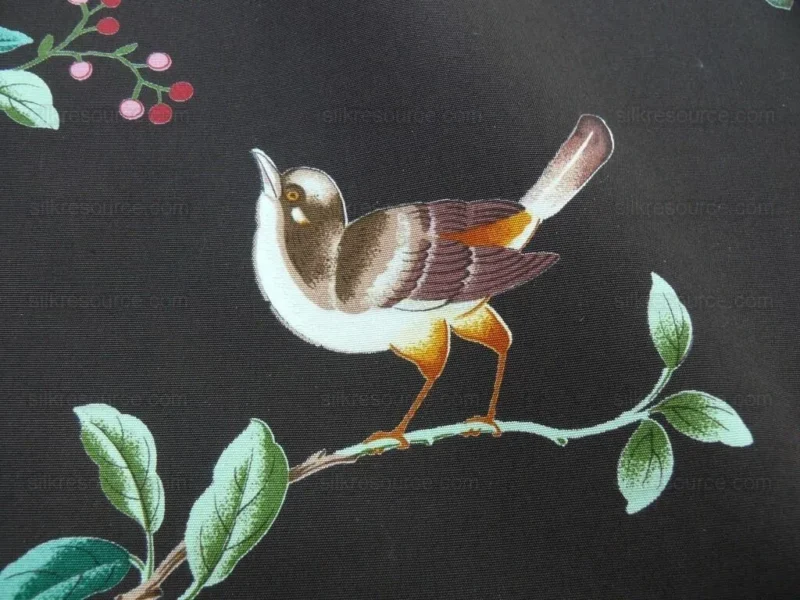 P1430907.jpg Brunchwig & Fils "silk Road" Chinoiserie Garden Bird & Trellis P