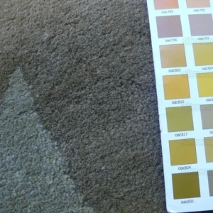 Hokanson Hand Tufted Gold Sage Green Wool Modern 8'x9'8"