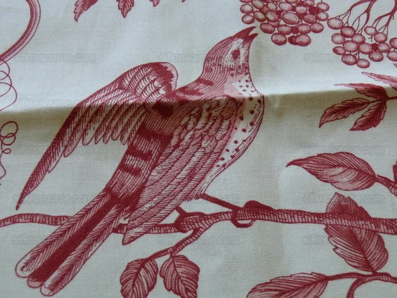 BY YD BRUNSCHWIG & FILS BIRD & THISTLE PRINT RED MSRP6/Y BY YD BRUNSCHWIG & FILS BIRD & THISTLE PRINT RED MSRP$196/Y