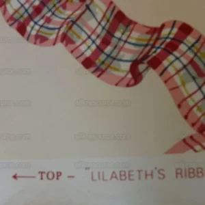 P1540008.jpg 5yd Tromp L'oeil! Scalamandre Lilabeth's Ribbon Wallpaper Single Roll