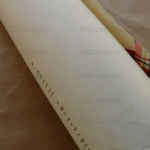 P1540017.jpg 5yd Tromp L'oeil! Scalamandre Lilabeth's Ribbon Wallpaper Single Roll