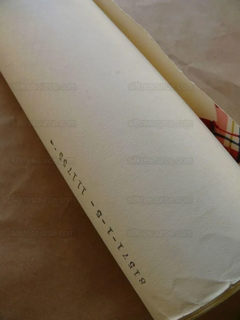 P1540017.jpg 5yd Tromp L'oeil! Scalamandre Lilabeth's Ribbon Wallpaper Single Roll