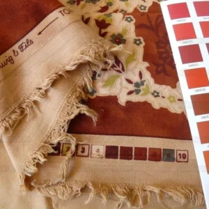 P1570598.jpg Brunschwig & Fils Kuthaya Cut & Printed Velvet Rusty Red 1.9y