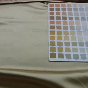 P1600769.jpg Old World Weavers Silk Satin Toffee Glamorous Liquid Lux