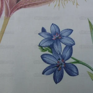 P1600941.jpg 2.25y Scalamandre Les Fleurs Flower Gardens Gw-white MSRP