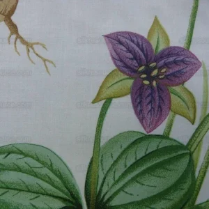 P1600943.jpg 2.25y Scalamandre Les Fleurs Flower Gardens Gw-white MSRP