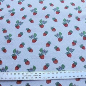 By Yard Scalamandre Fragoletta Strawberry Lampas Fruit Pink Red White Wool Cotton Heavy