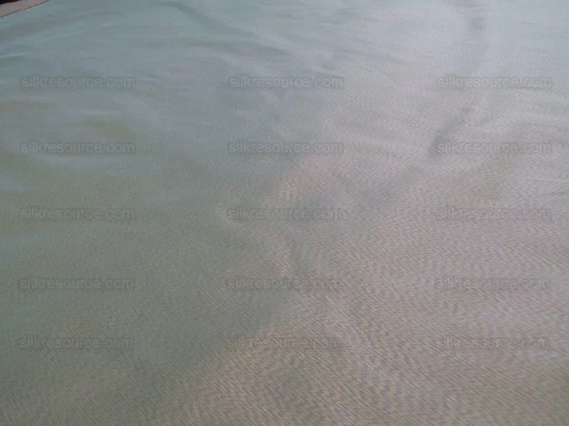 IMG_3633.jpg By Yd Scalamandre Opalino Flame 100% Silk Red Green MSRP USD 212/yd