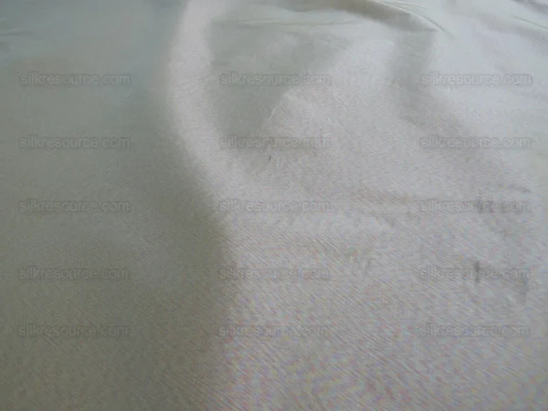 IMG_3645.jpg Bty Scalamandre Opalino "seaglass" 100% Silk MSRP USD 212