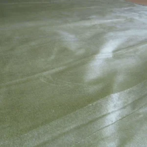 IMG_4246.jpg By Yd Lee Jofa Exquisite Silk Velvet Green Tea MSRP USD 396/Y