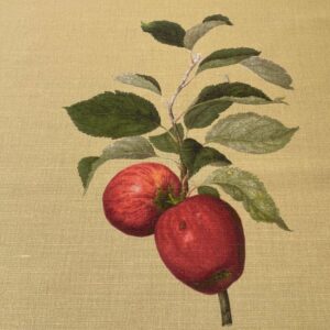 IMG_6638 By Vertical Repeat 40 Inches Scalamandre Les Fruits Maize Grape Strawberry Cherry Plum Pear Yellow Realism MSRP USD 220/Y