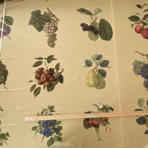 IMG_6652 By Vertical Repeat 40 Inches Scalamandre Les Fruits Maize Grape Strawberry Cherry Plum Pear Yellow Realism MSRP USD 220/Y