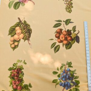 PXL_20240228_202359538 By Vertical Repeat 40 Inches Scalamandre Les Fruits Maize Grape Strawberry Cherry Plum Pear Yellow Realism MSRP USD 220/Y