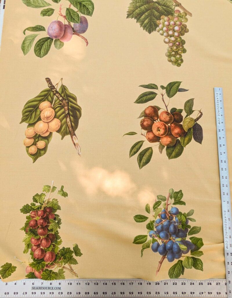 PXL_20240228_202359538 By Vertical Repeat 40 Inches Scalamandre Les Fruits Maize Grape Strawberry Cherry Plum Pear Yellow Realism MSRP USD 220/Y