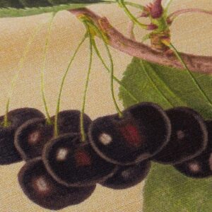 PXL_20240228_202436356 By Vertical Repeat 40 Inches Scalamandre Les Fruits Maize Grape Strawberry Cherry Plum Pear Yellow Realism MSRP USD 220/Y