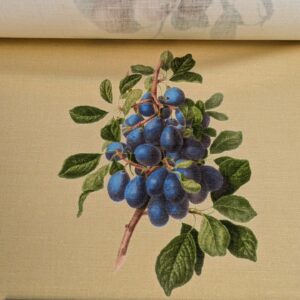 PXL_20240228_202627397 By Vertical Repeat 40 Inches Scalamandre Les Fruits Maize Grape Strawberry Cherry Plum Pear Yellow Realism MSRP USD 220/Y