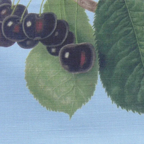 SCALAMANDRE Les FRUITS GRAPE STRAWBERRY CHERRY PLUM PEAR BLUE