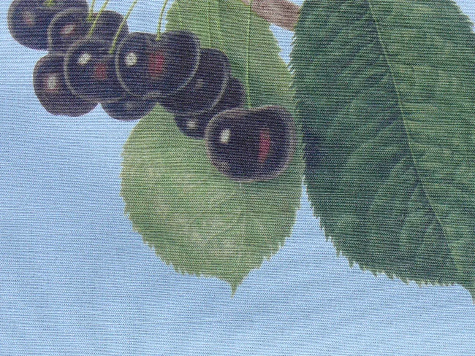 SCALAMANDRE Les FRUITS GRAPE STRAWBERRY CHERRY PLUM PEAR BLUE SCALAMANDRE Les FRUITS GRAPE STRAWBERRY CHERRY PLUM PEAR BLUE
