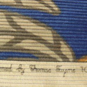 By Yard Brunschwig & Fils Tropical Apricot Print Velvet Corduroy 100% Cotton 1208 MSRP280/Y