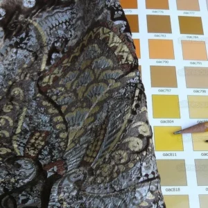 P1630189.jpg Brunschwig & Fils Octavia Silk Velvet Print Tiger's Eye Black Brown Gold MSRP USD 394/y