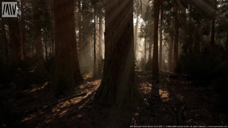 MWRedwoodForestBiomeUE50016-1920x1080-77993cfb14622aa37726a2f7a5e6b141 Kravet Coutour Quiet Place Serenity Gold Amber 100% Silk Forest Yarrow Autumn Foliage Art Nouveau MSRP 276/Y By Yard