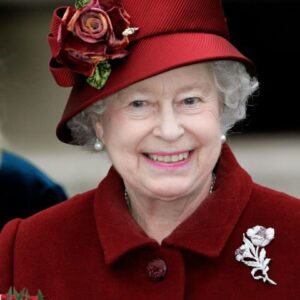 Queen Dark Rose 4.38y Lee Jofa Mulberry Home Eliza Aubergine Purple English Rose MSRP USD 250/Y