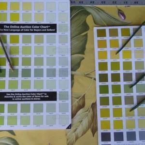 P1010302.jpg By Yard Scalamandre Key West Gw Yellow Tropical Flower Hibiscus Monstera bird of paradise Banana Print MSRP USD 288/Yd