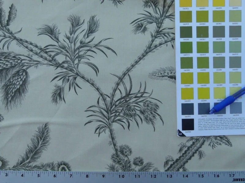 P1030582 By Yd Scalamandre Grey Watkins Languedoc Charcoal Black White Botanic Fern and Thistle Southern France Toile Circa 1790 MSRP USD 364/y