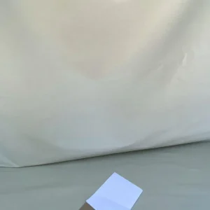 IMG_5432 By Yd Scalamandre Bambu Sky Silk & Linen Texture Solid Beige Italy MSRP USD 272/Y Glowing!