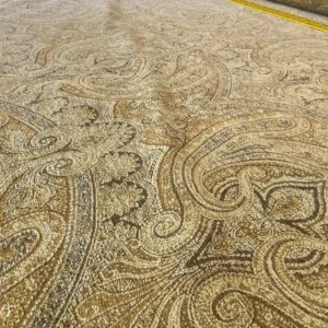 IMG_5192 Scalamandre " Asha Gold MSRP USD 256/Y Woven Turkish Paisley Chenille Gold Red Rust