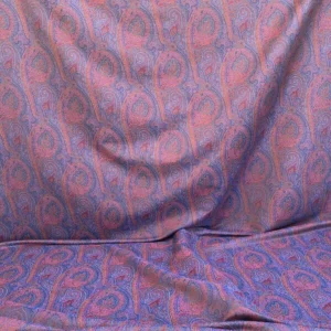 IMG_6721 Clarence House Arnica Etro Blue Red Woven Intricate Paisley Cotton Blend MSRP USD 300+/yard