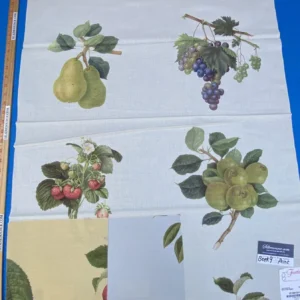 IMG_6853 18b Berkbox9 Length Scalamandre Print 34"L x 27" W Les Fruits Multi On Ivory
