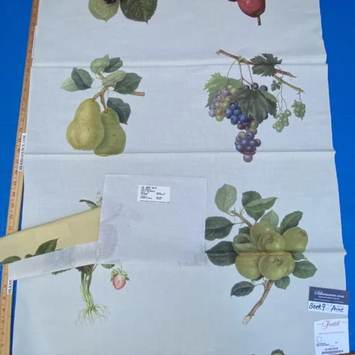 18d Berkbox9 Length Scalamandre Print 34"L x 27" W Les Fruits Multi On Ivory