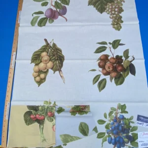 IMG_6859 18e Berkbox9 Length Scalamandre Print 34"L x 27" W Les Fruits Multi On Ivory