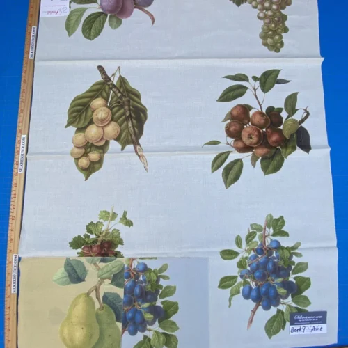18g Berkbox9 Length Scalamandre Print 34"L x 27" W Les Fruits Multi On Ivory