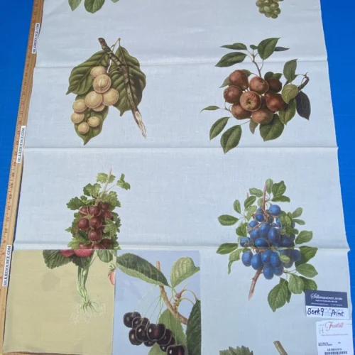 18h Berkbox9 Length Scalamandre Print 34"L x 27" W Les Fruits Multi On Ivory
