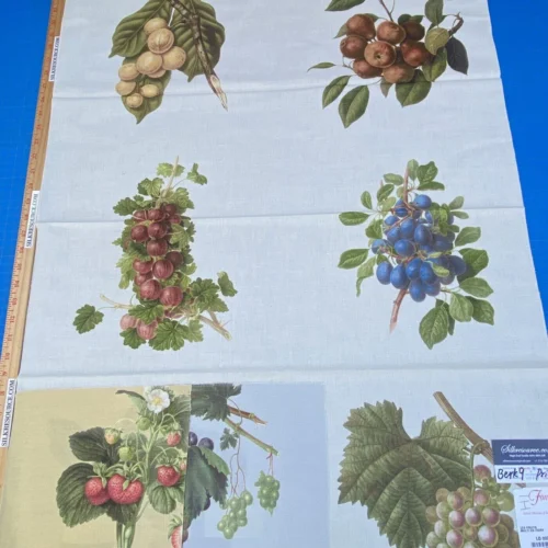18i Berkbox9 Length Scalamandre Print 34"L x 27" W Les Fruits Multi On Ivory