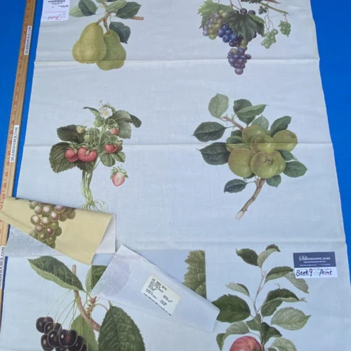 18k Berkbox9 Length Scalamandre Print 34"L x 27" W Les Fruits Multi On Ivory