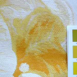 Giant Huge Tulip Field Dutch Yellow White Fil Coupe 3yards Tall!