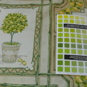 P1170354 Tyler Hall "lemoncello" Lemon Tree Yellow Green Bamboo Lattice Orangery Citrus Topiary