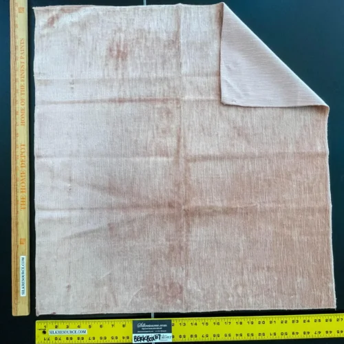 IMG_6610 18 Berkbox67 27"x 27" Square Scalamandre Velvet Peach Plains Texture