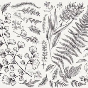 Fern 1.2y Scalamandre Fossils- Embroidery Gw-rust On Beige MSRP USD 372Y