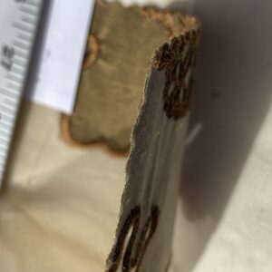 IMG_0164 Divinity 100% Silk Organza with Medallion Embroidery Copper Gold