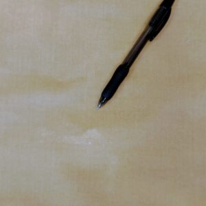 PXL_20231026_220912268.MP~3 0.8Y Scalamandre Folio Bisque Superb Silk Velvet With Cuddly Silk Pile Yet Durable! brown MSRP USD 566/y Minor defects
