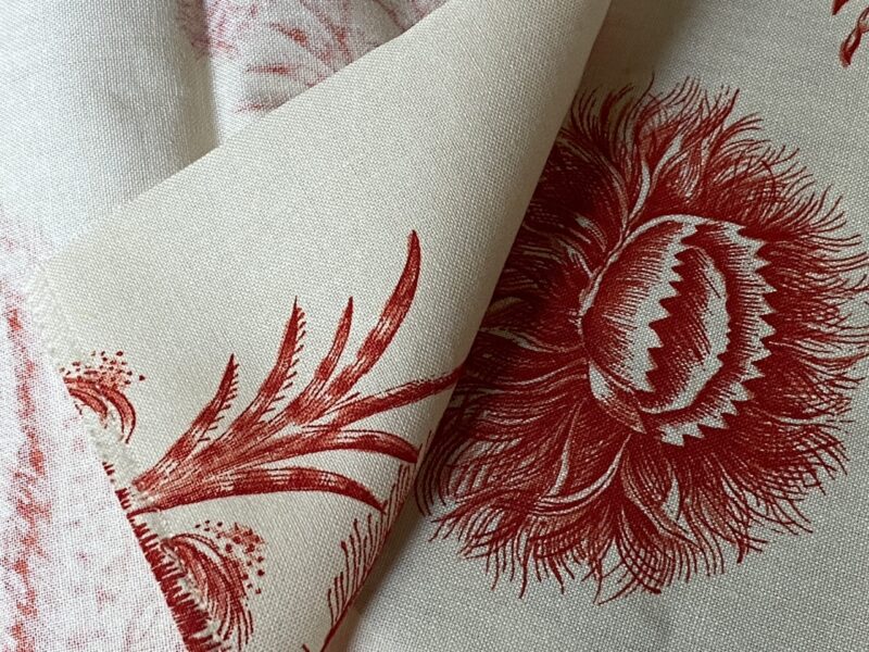 IMG_0719 By Yd Scalamandre Grey Watkins Languedoc Autumn Red Cream White Botanic Fern and Thistle Southern France Toile Circa 1790 MSRP USD 364/y