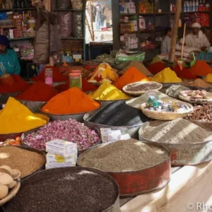 A market in Rissani Morocco By Yd Clarence House Grand Pamir Ikat Linen Rust & Fern Green MSRP USD 370/yard