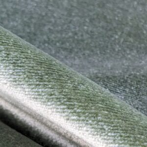 PXL_20240228_204149832 Queen's Silk Velvet Jade Green Radiance Highest Quality Heavy 39,000+ martindale MSRP USD 728/Yard