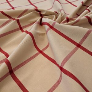 PXL_20240515_202339445 Scalamandre Pique-Nique Plaid Rose Plaid Check Red and Beige Cotton MSRP USD 200+/y