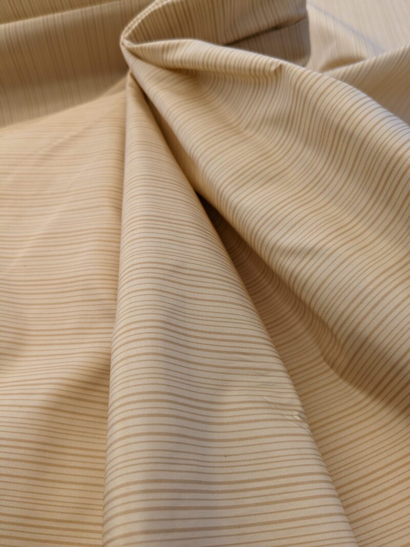 PXL_20240521_185718714 Scalamandre Astley Silk Strie Shell Beige Pin Stripe Small Scale MSRP USD350+/yard
